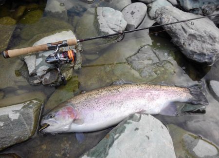 天竜川ルアーフライ専用区